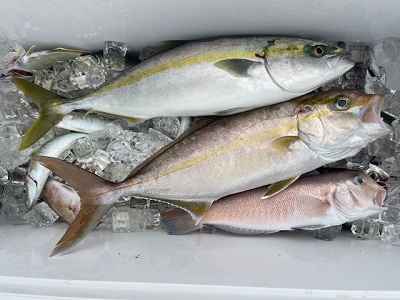 和歌山 串本 海釣り カセ釣り フィッシング章丸